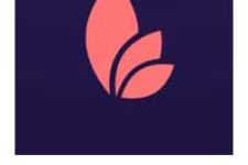 Photo of Purileaf Photo of Purileaf