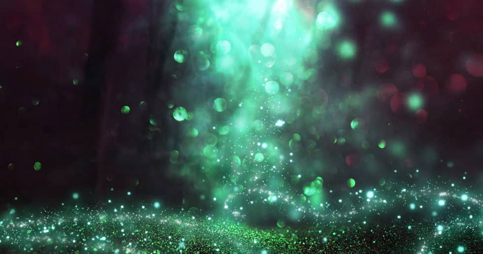 What Are Your Dreams for Niagara? The Niagara Guide