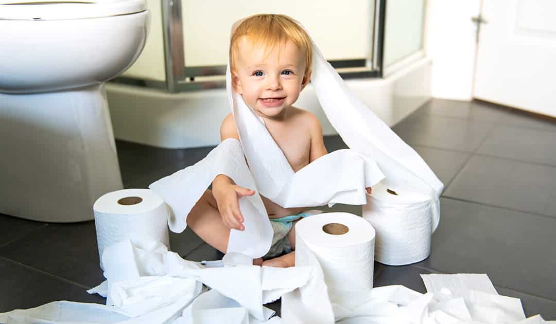 Fun with Toilet Paper